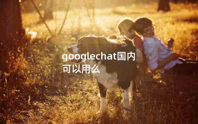 googlechat国内可以用么