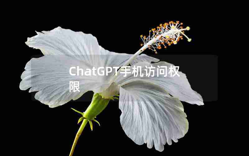 ChatGPT手机访问权限