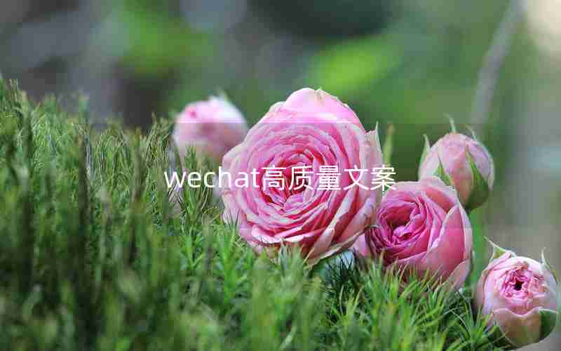 wechat高质量文案