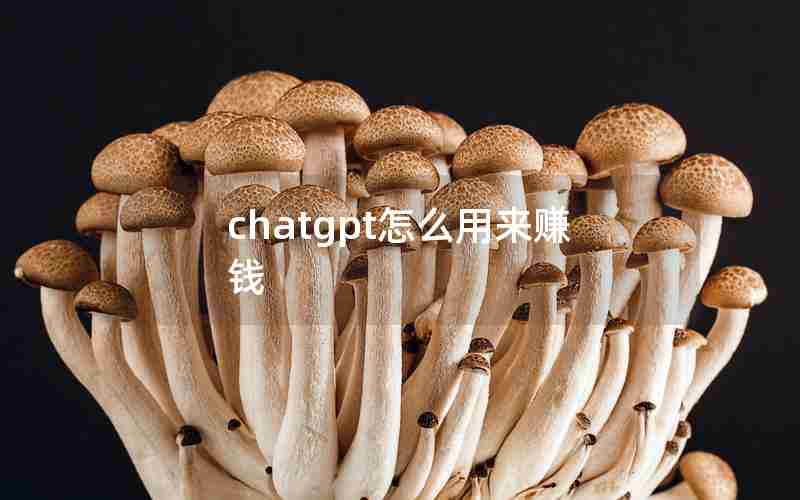 chatgpt怎么用来赚钱(66个ChatGPT副业赚钱技巧)