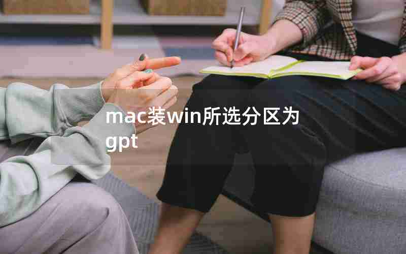 mac装win所选分区为gpt