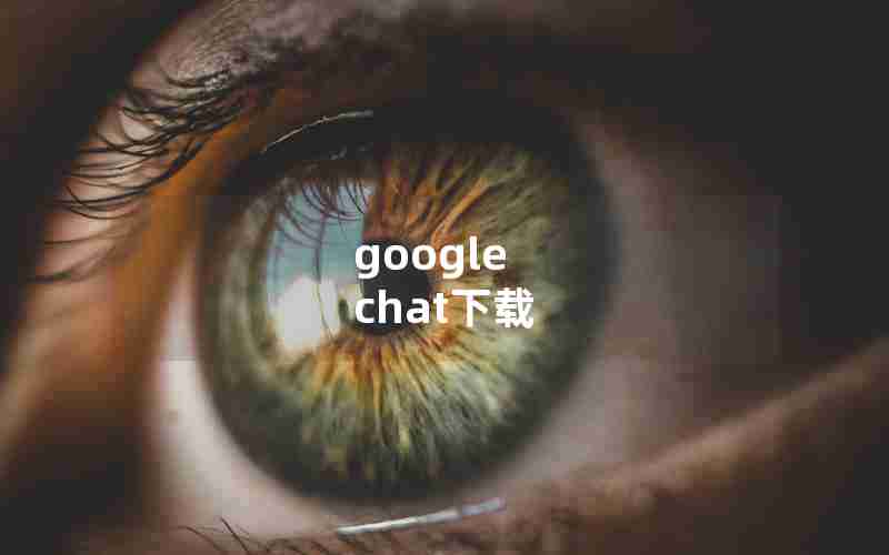 google chat下载