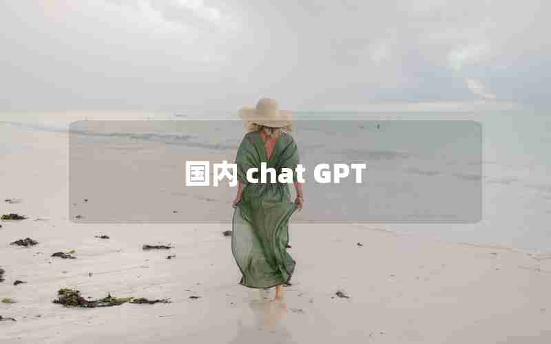 国内 chat GPT