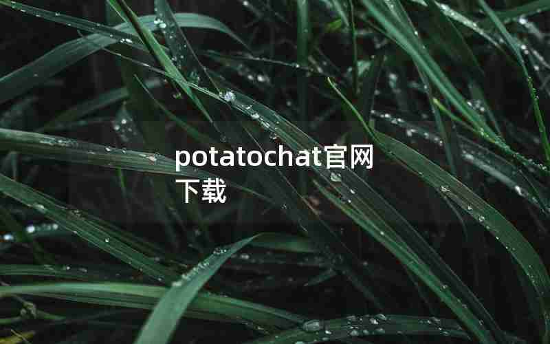 potatochat官网下载