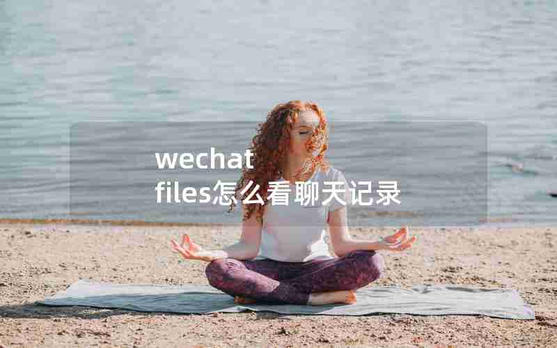 wechat files怎么看聊天记录