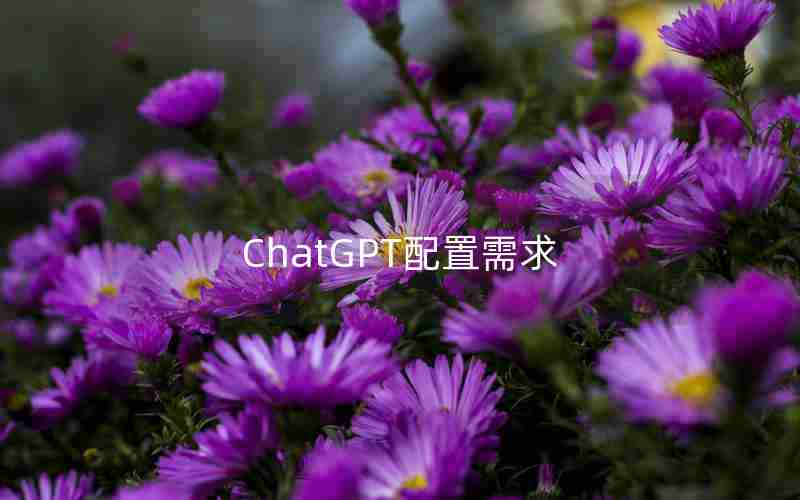 ChatGPT配置需求