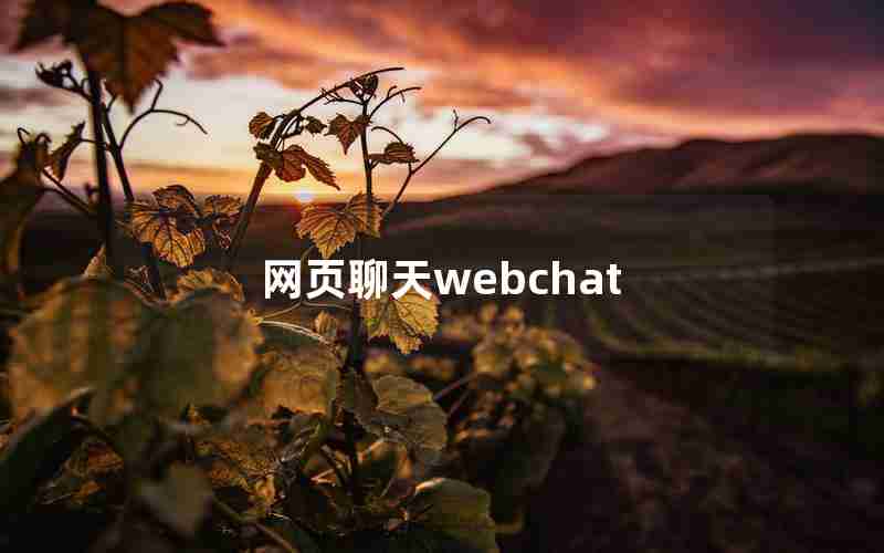 网页聊天webchat