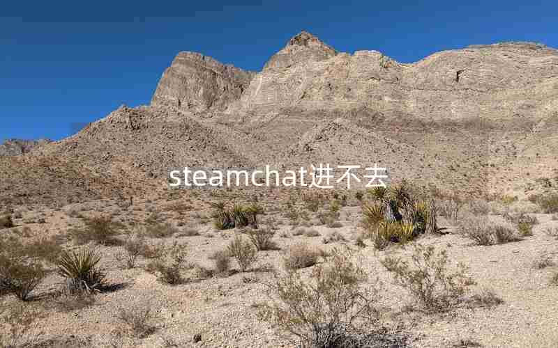 steamchat进不去