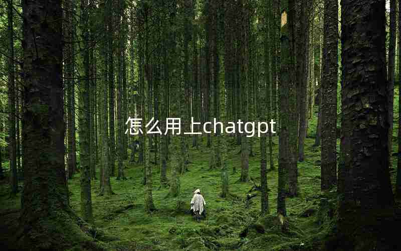 怎么用上chatgpt