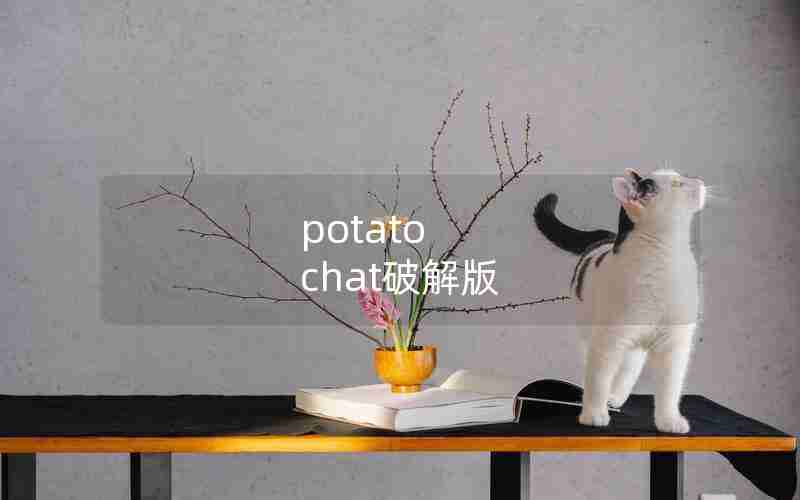 potato chat破解版