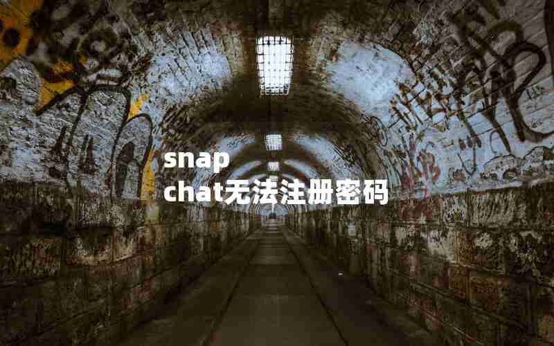 snap chat无法注册密码