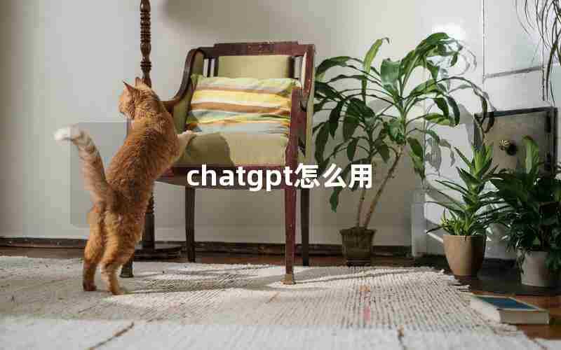 chatgpt怎么用