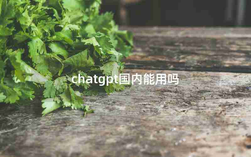 chatgpt国内能用吗