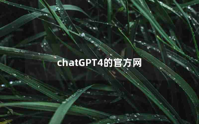 chatGPT4的官方网