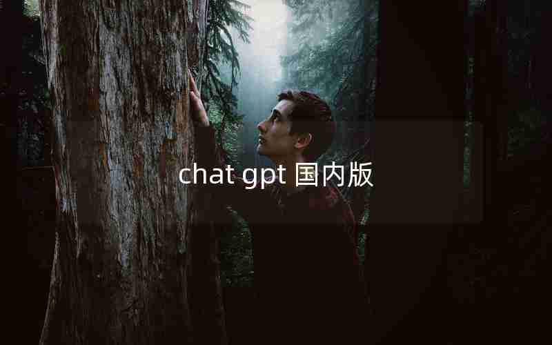 chat gpt 国内版