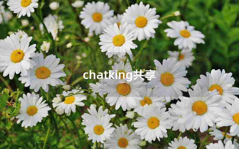 chatking共享