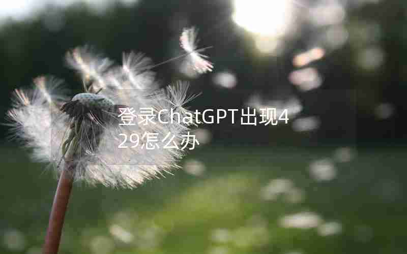 登录ChatGPT出现429怎么办