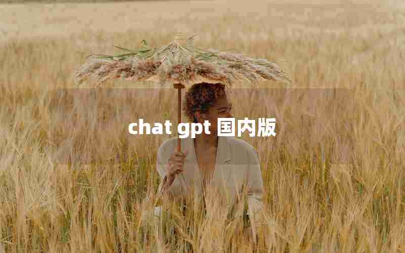 chat gpt 国内版