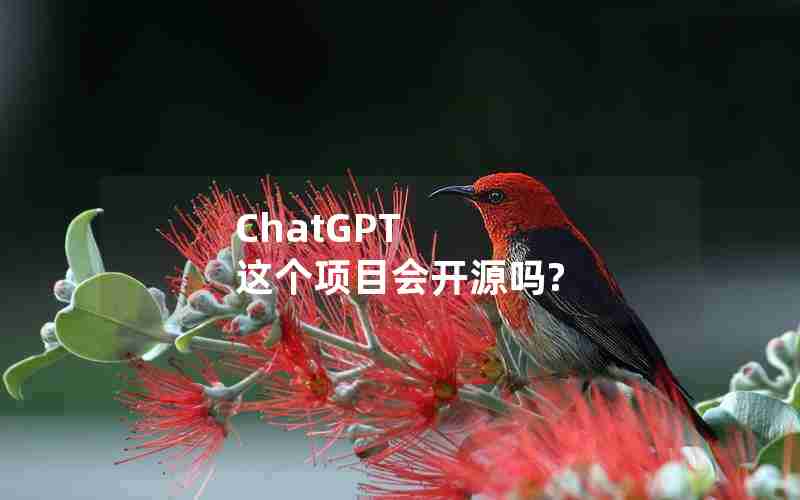 ChatGPT 这个项目会开源吗?