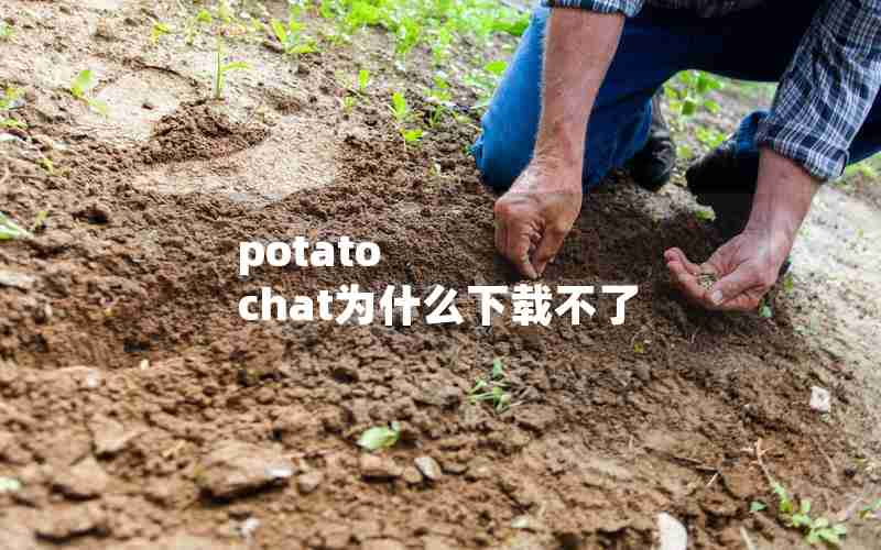 potato chat为什么下载不了