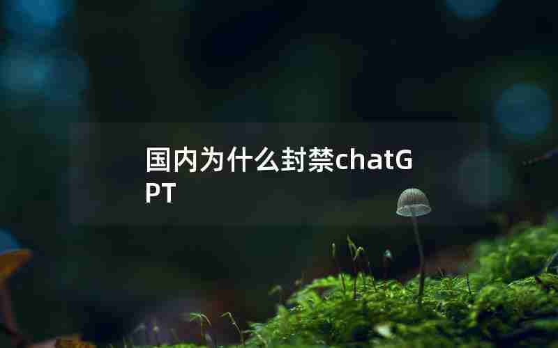 国内为什么封禁chatGPT