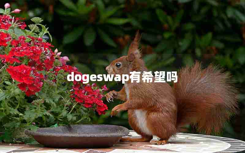 dogeswap有希望吗