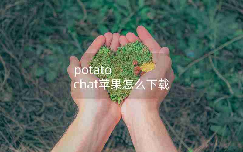 potato chat苹果怎么下载