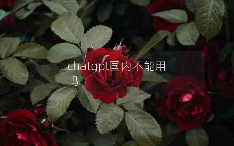 chatgpt国内不能用吗