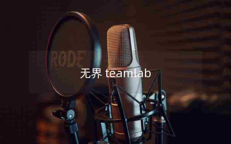 无界 teamlab