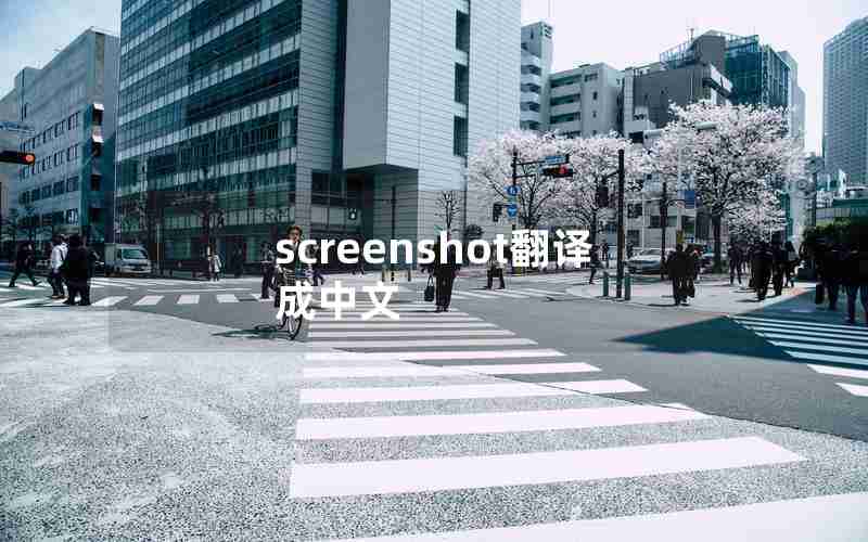 screenshot翻译成中文