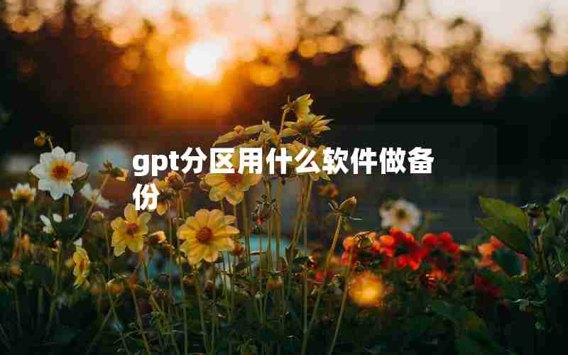 gpt分区用什么软件做备份