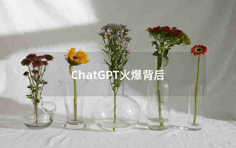 ChatGPT火爆背后,ChatGPT人工智能聊天机器人