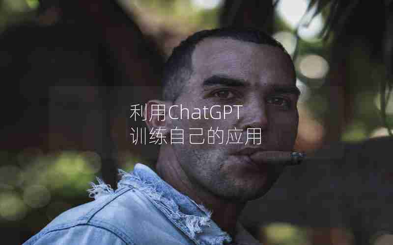 利用ChatGPT 训练自己的应用