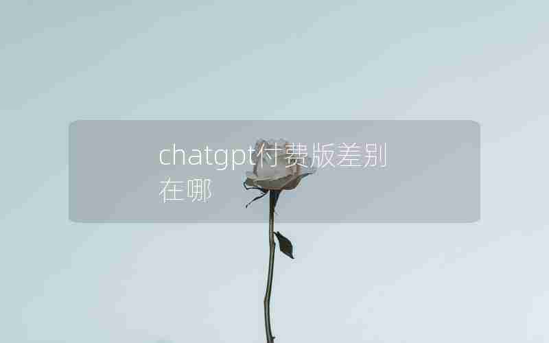 chatgpt付费版差别在哪