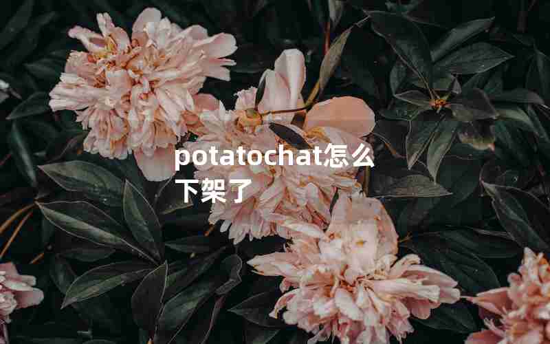 potatochat怎么下架了