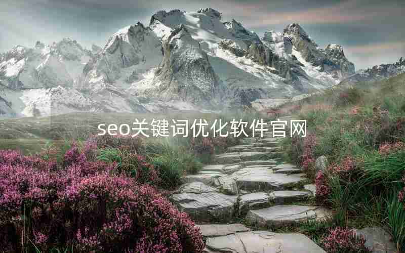 seo关键词优化软件官网