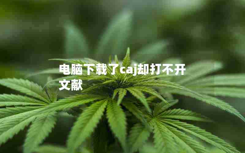 电脑下载了caj却打不开文献