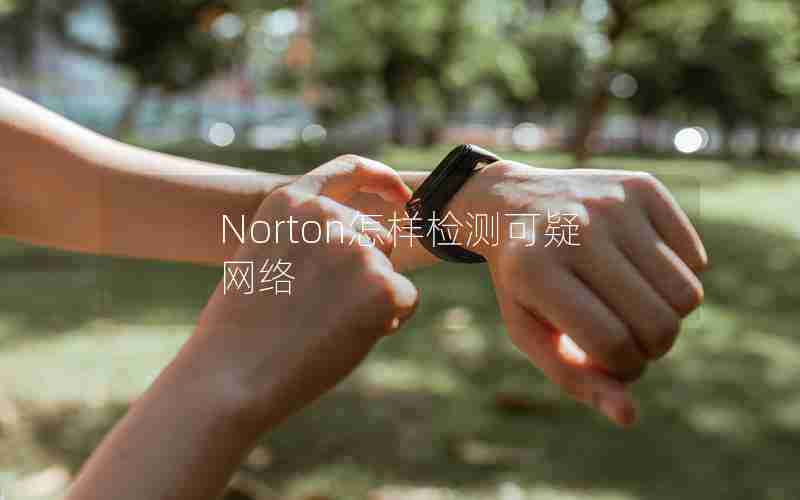 Norton怎样检测可疑网络