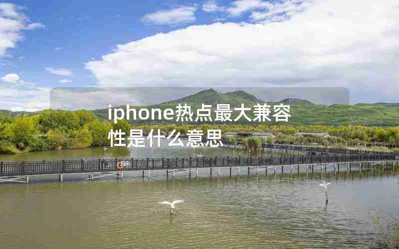 iphone热点最大兼容性是什么意思