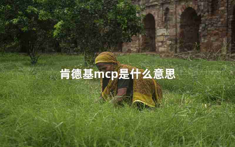 肯德基mcp是什么意思