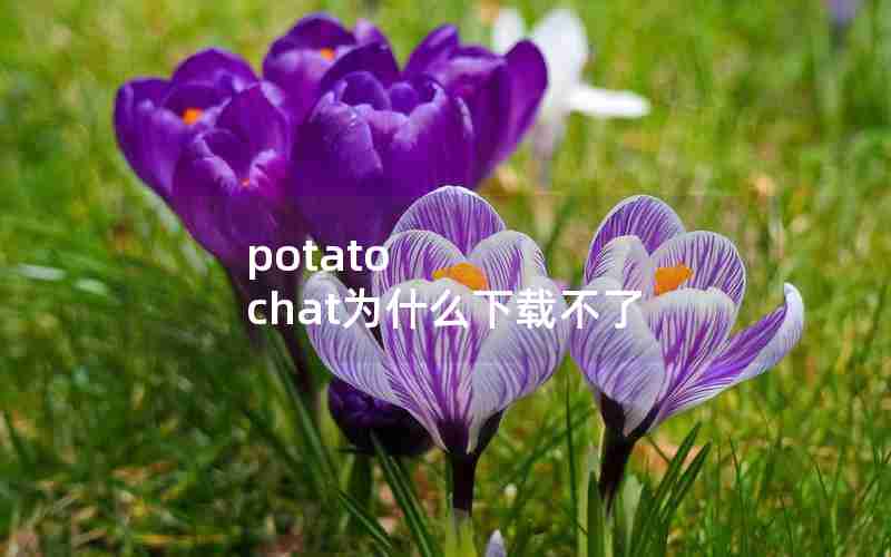 potato chat为什么下载不了