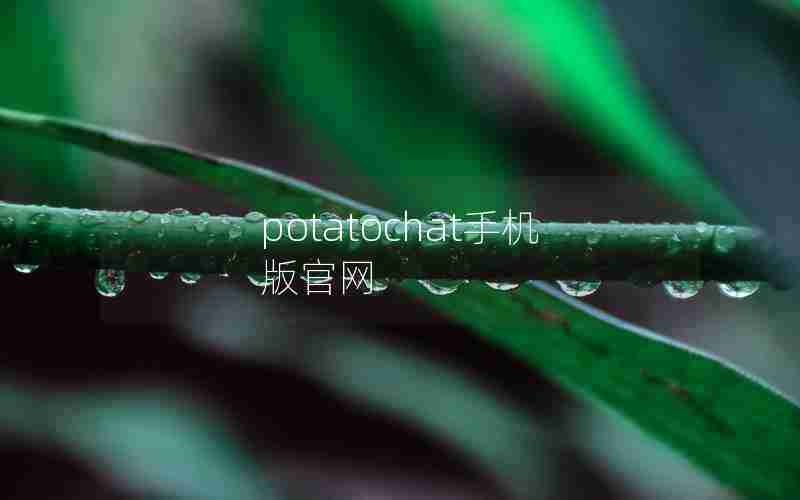 potatochat手机版官网