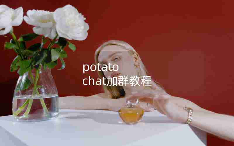potato chat加群教程