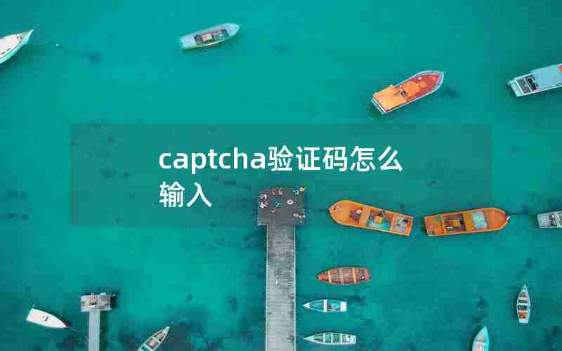 captcha验证码怎么输入