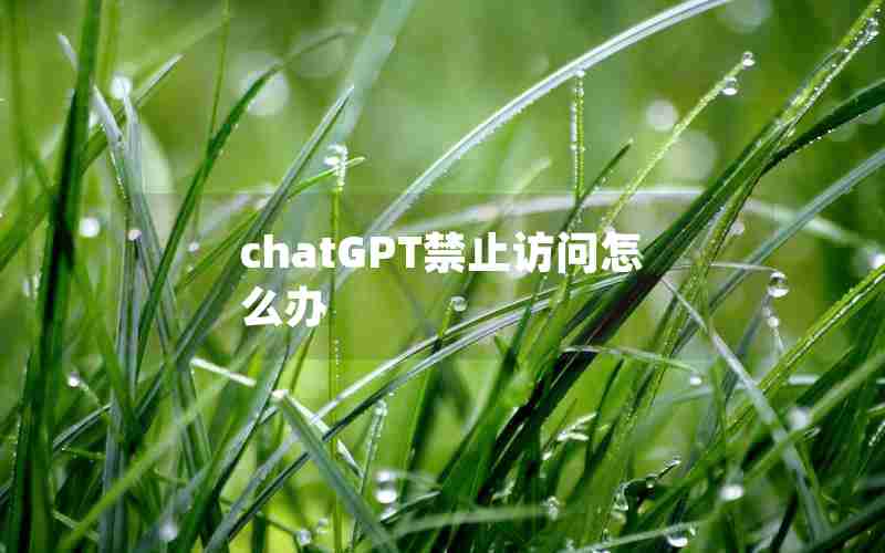 chatGPT禁止访问怎么办