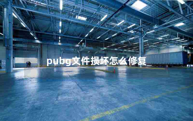 pubg文件损坏怎么修复