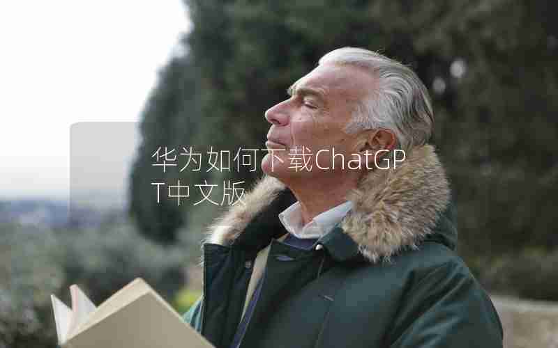 华为如何下载ChatGPT中文版