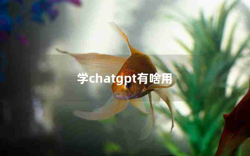 学chatgpt有啥用_legacy可以用gpt吗