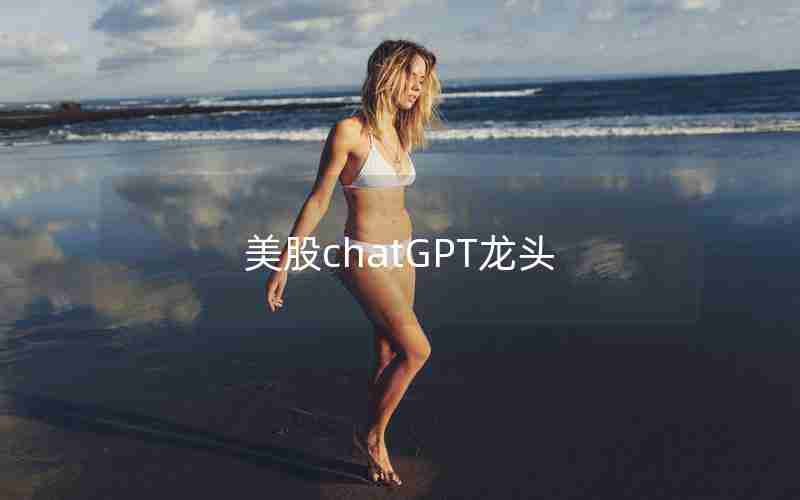 美股chatGPT龙头