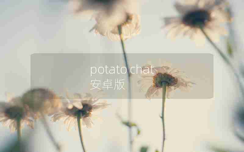 potato chat 安卓版